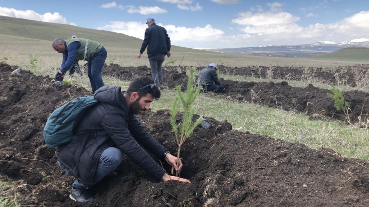 Kars’ta 2 Bin Fidan Toprakla Buluştu