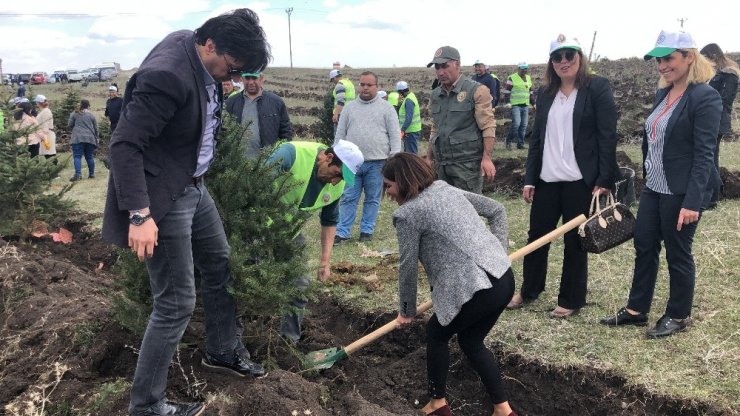 Kars’ta 2 Bin Fidan Toprakla Buluştu