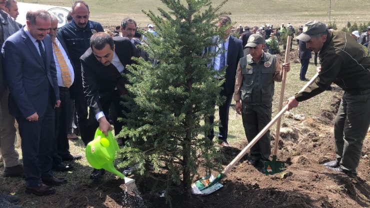 Kars’ta 2 Bin Fidan Toprakla Buluştu