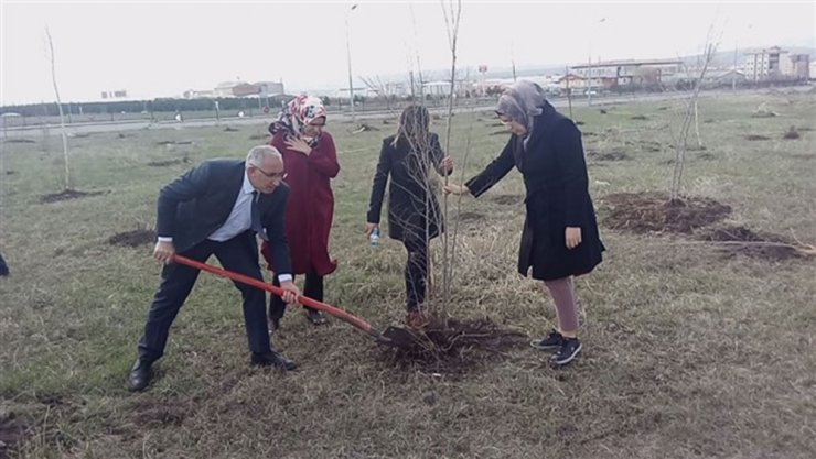 Adliye Personeli Fidan Dikti