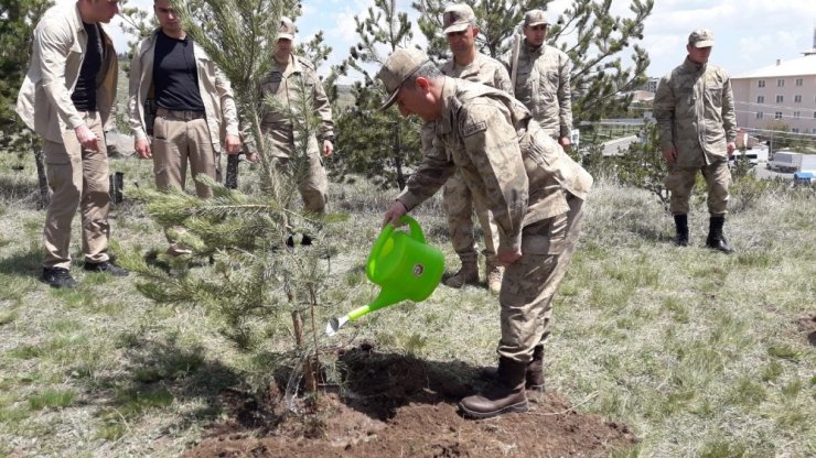 Jandarma '180. Yıldönümü'nde Fidan Dikti