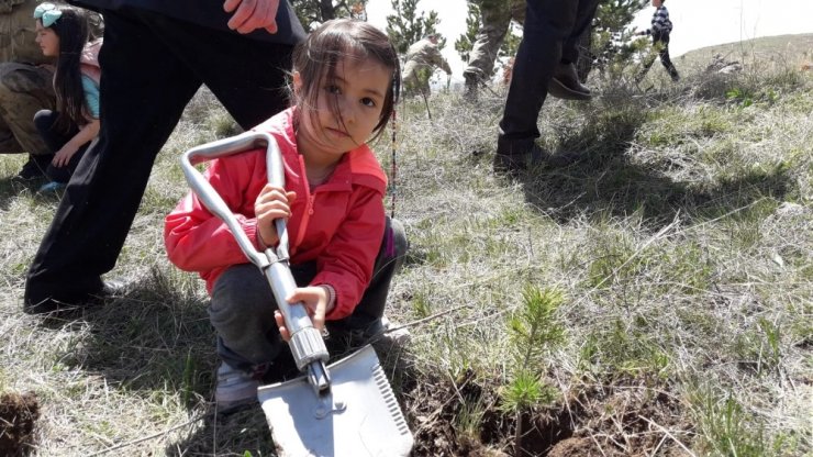 Jandarma '180. Yıldönümü'nde Fidan Dikti