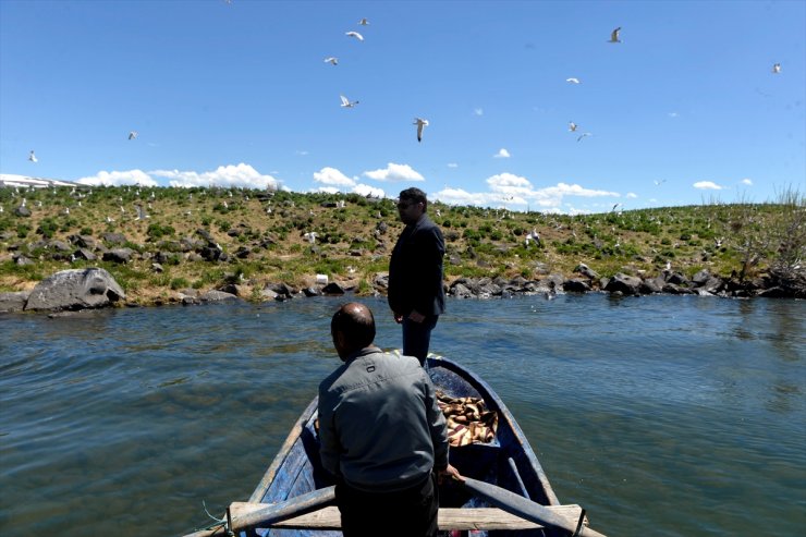 Çıldır Gölü’nün Göçmen Kuşları