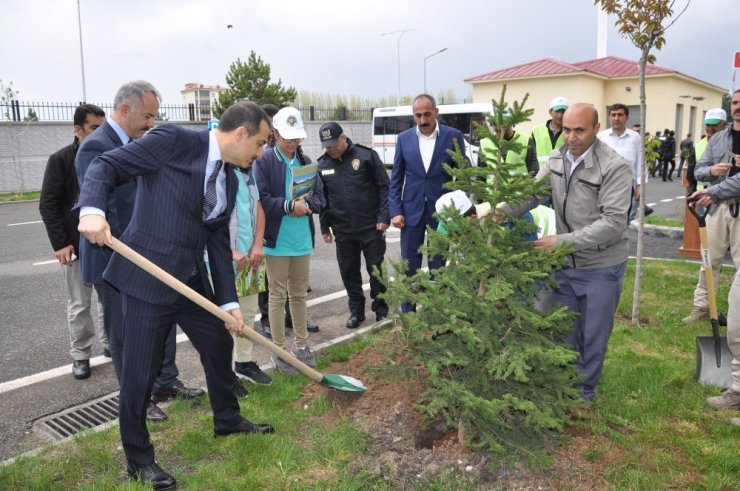 Emniyet Müdürlüğü Bahçesi Ağaçlandırıldı