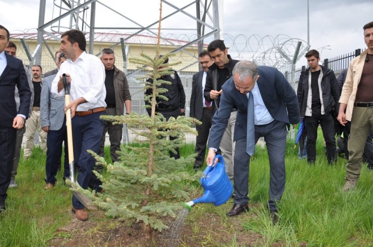 Emniyet Müdürlüğü Bahçesi Ağaçlandırıldı