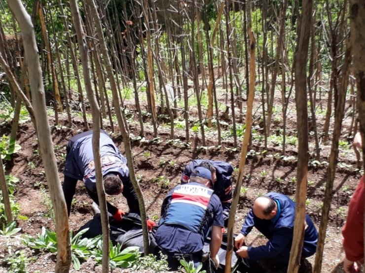 Artvin’de Kaybolan Kişi Ölü Bulundu