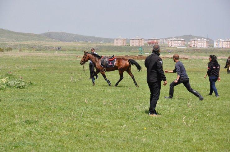 KAÜ’de ‘At Yarışları’ Yapıldı