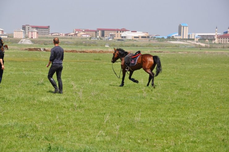 KAÜ’de ‘At Yarışları’ Yapıldı