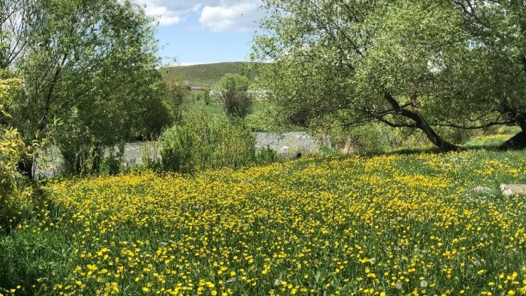 Kars’a Geç Gelen 'Bahar'