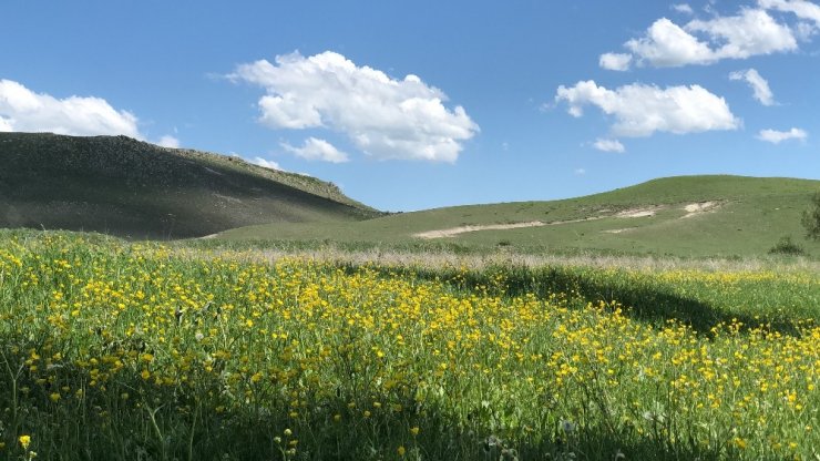 Kars’a Geç Gelen 'Bahar'