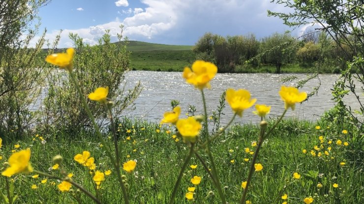 Kars’a Geç Gelen 'Bahar'