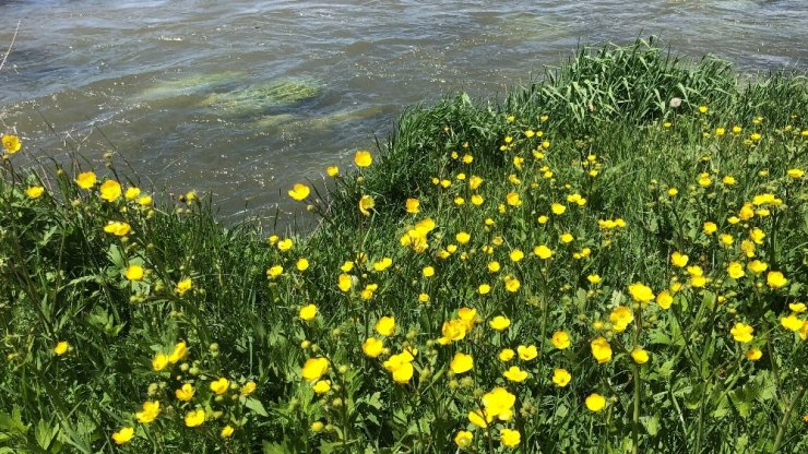 Kars’a Geç Gelen 'Bahar'