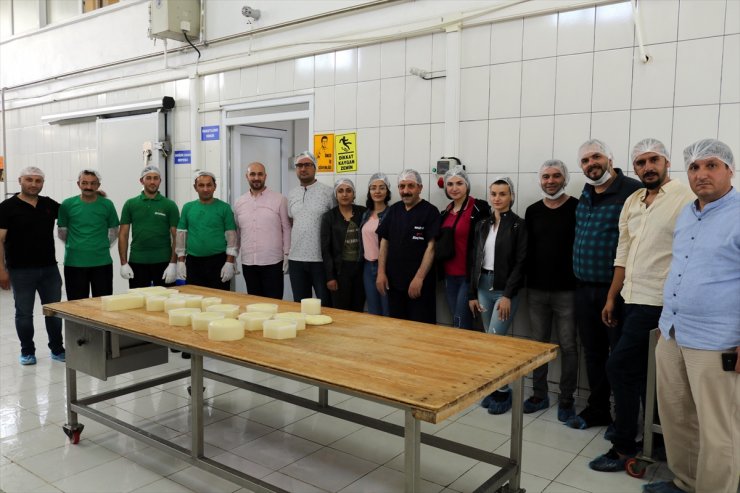 Öğrencilere 'Peynir Eğitimi' Verildi