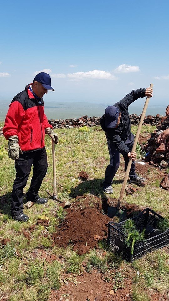 Dağcılar, Yahni Dağı’na Fidan Dikti