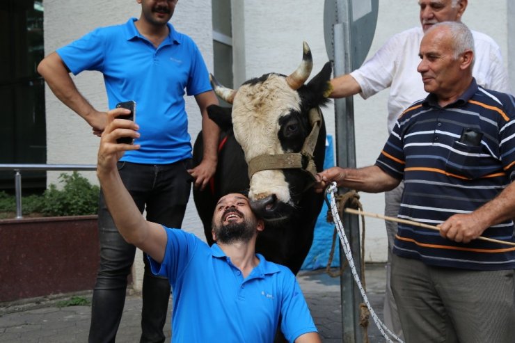 Artvin 'Kafkasör Festivali' Başladı