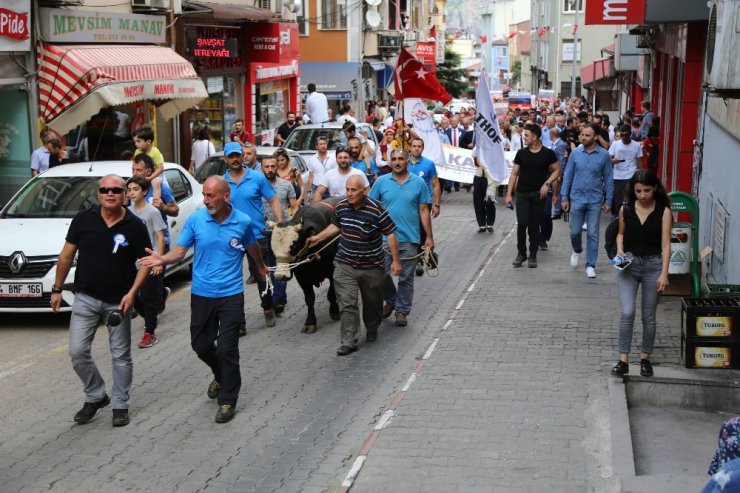 Artvin 'Kafkasör Festivali' Başladı