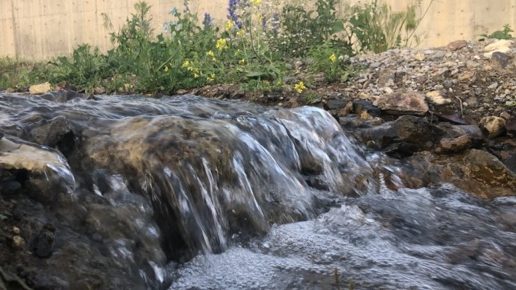 Kars Çiçek Açtı