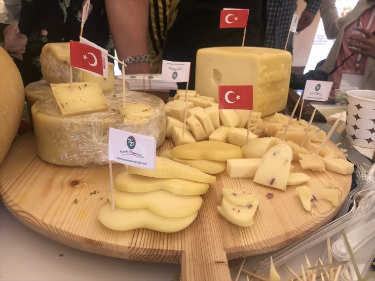Susuz’da ‘Anadolu Peynirleri’ Tanıtıldı