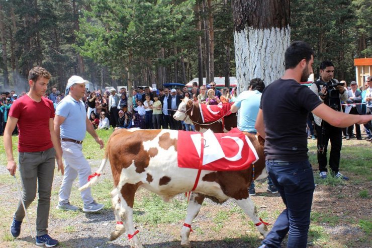 Hanak ‘Aşık Mazlumi’ Anma Şenlikleri