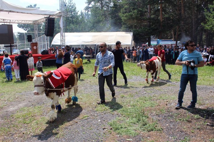 Hanak ‘Aşık Mazlumi’ Anma Şenlikleri