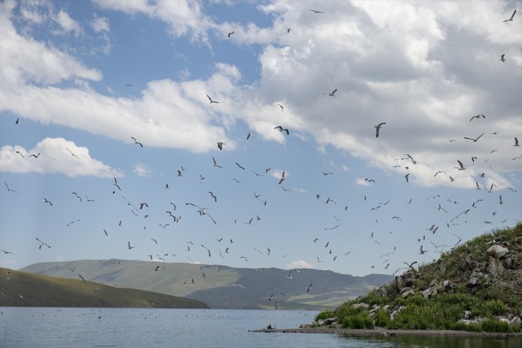 Saklı Güzellik: 'Balık Gölü'