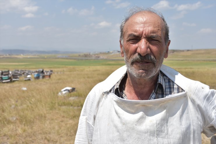 Bölgede 'Bal Verimi' Düştü