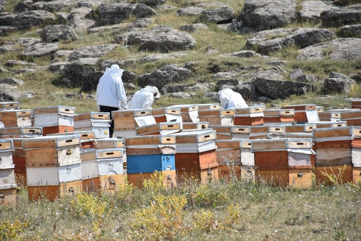 Bölgede 'Bal Verimi' Düştü