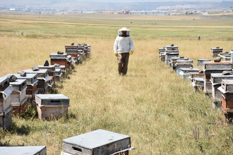 Bölgede 'Bal Verimi' Düştü