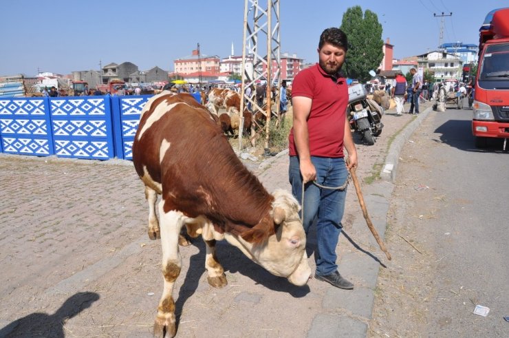 'Kurban Pazarı'nda Yoğunluk Yaşanıyor