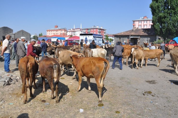 'Kurban Pazarı'nda Yoğunluk Yaşanıyor