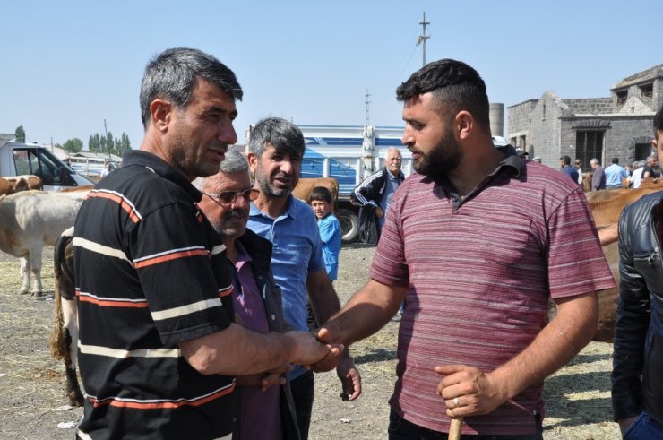 'Kurban Pazarı'nda Yoğunluk Yaşanıyor