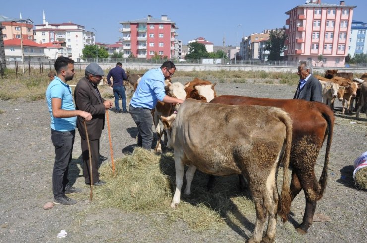 'Kurban Pazarı'nda Yoğunluk Yaşanıyor