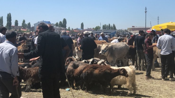 Kurban Pazarı'nda Yoğunluk Devam Ediyor