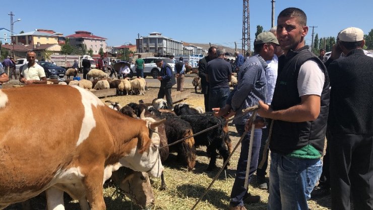 Kurban Pazarı'nda Yoğunluk Devam Ediyor