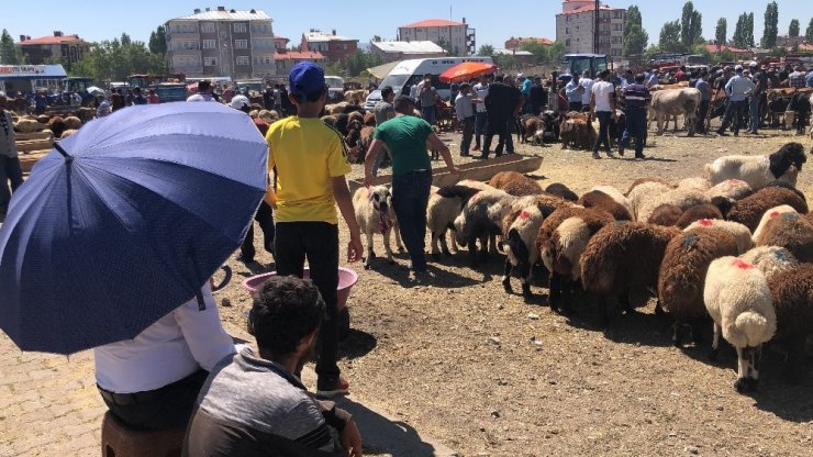 Kurban Pazarı'nda Yoğunluk Devam Ediyor