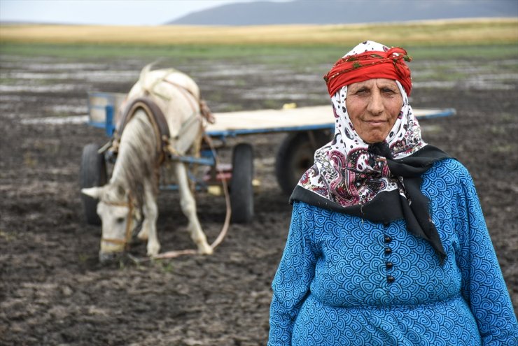 Kuruyan Kuyucuk Gölü'nde Tahıl Savurdular