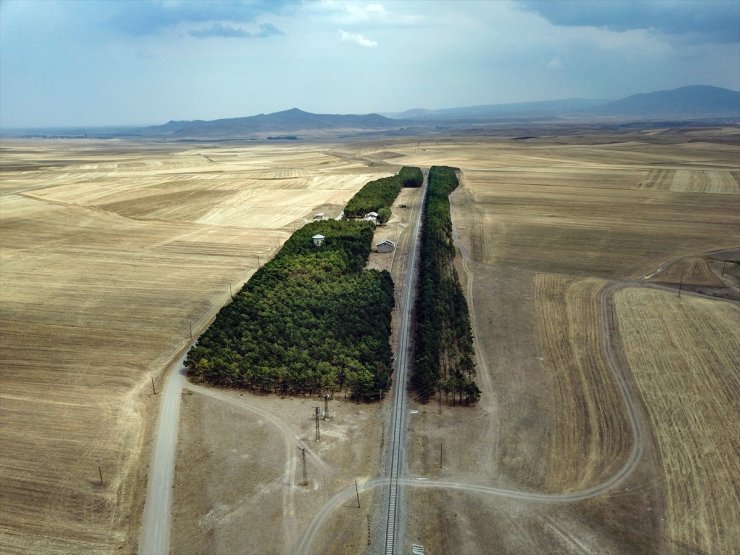 Benliahmet Tren İstasyonu ve Görsel Şölen