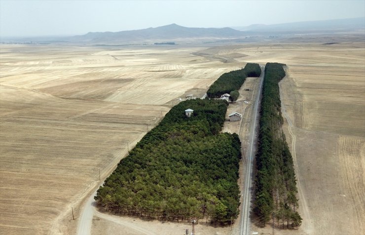 Benliahmet Tren İstasyonu ve Görsel Şölen