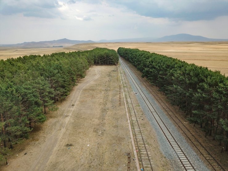 Benliahmet Tren İstasyonu ve Görsel Şölen