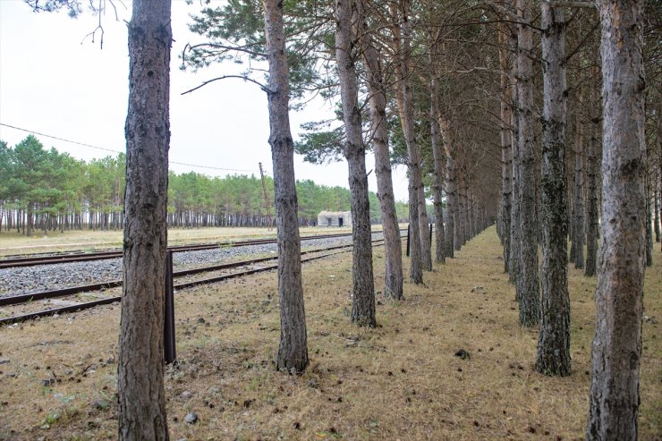 Benliahmet Tren İstasyonu ve Görsel Şölen