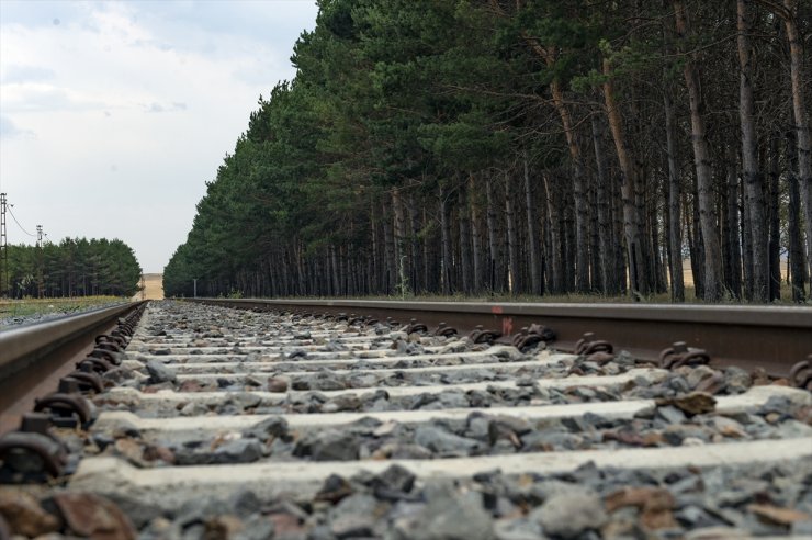 Benliahmet Tren İstasyonu ve Görsel Şölen