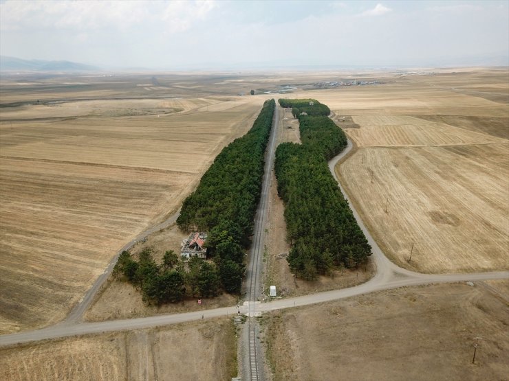 Benliahmet Tren İstasyonu ve Görsel Şölen