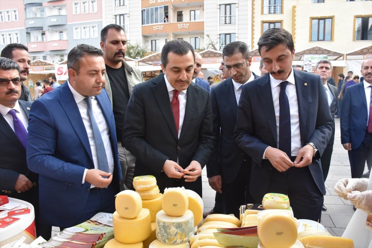 Türkiye'nin Yöresel Peynirleri Kars'ta
