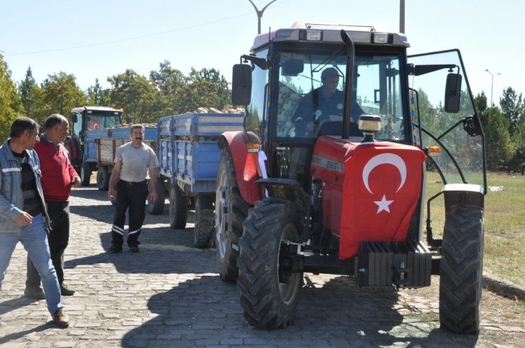 Pancar Alım Kampanyası Başladı