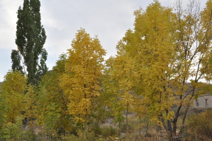 Kars’ta Kartpostallık Sonbahar Görüntüleri