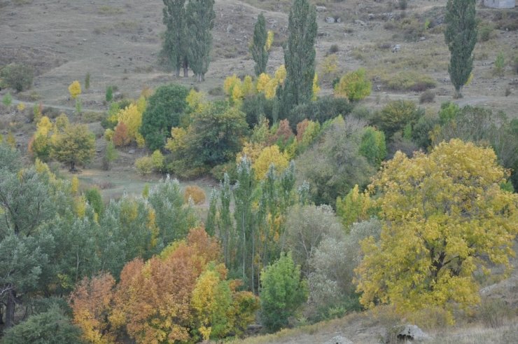 Kars’ta Kartpostallık Sonbahar Görüntüleri