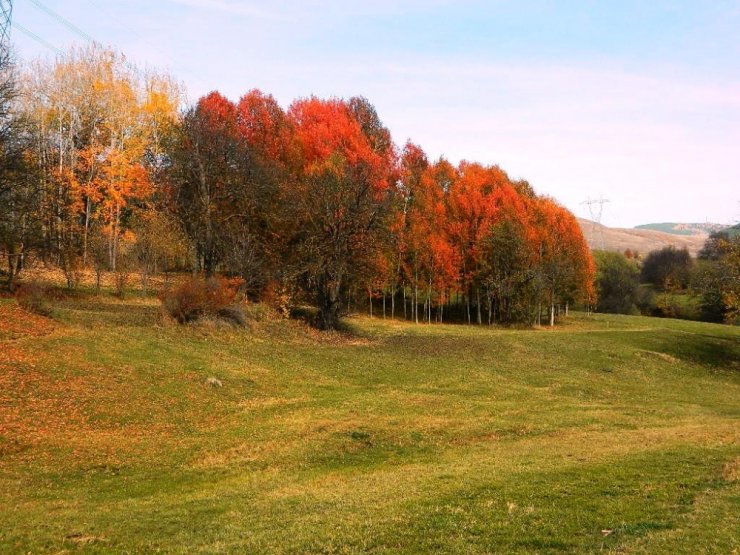 Posof’ta Sonbahar Bir Başka Güzel