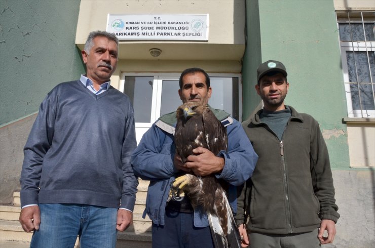 Yaralı Kartal Tedavi Altına Alındı