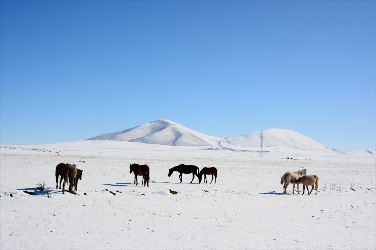 Bölgenin En Soğuk İli Kars