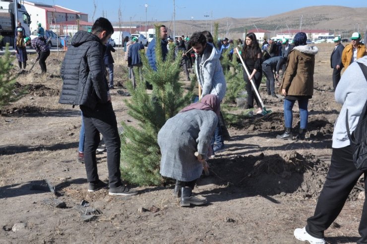 Kars’ta 29 Bin Fidan Toprakla Buluştu